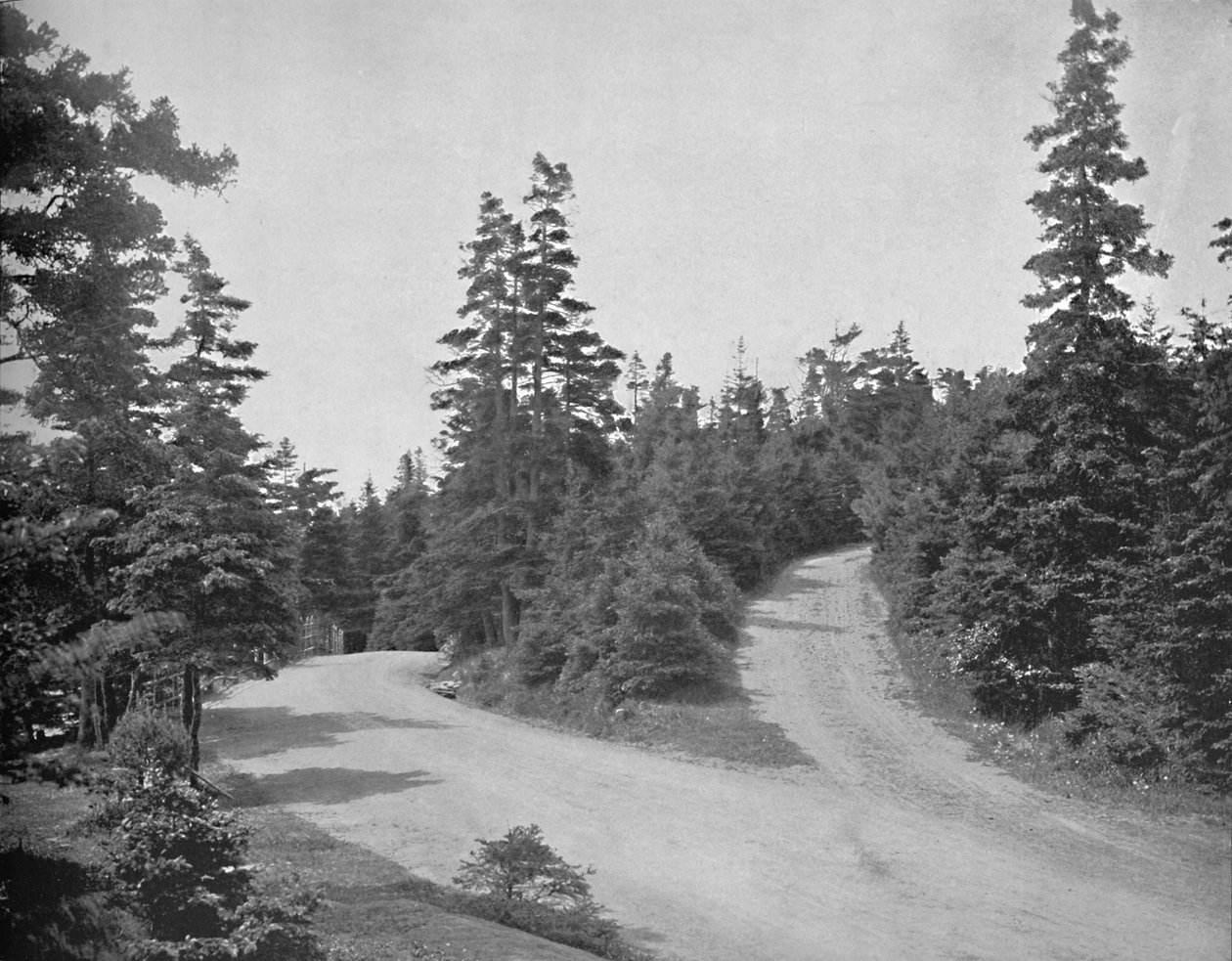 Point Pleasant Park, Halifax, Nowa Szkocja, c1897. autorstwa Unbekannt