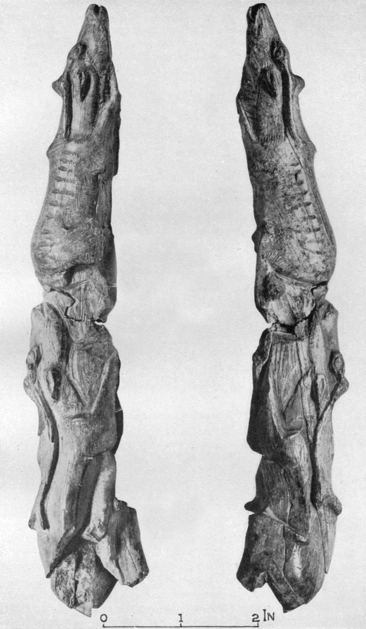 Wyrzeźbiony z reniferem czubek mamuta, z Montastruc, Bruniquel, Francja, 1926 autorstwa Unbekannt
