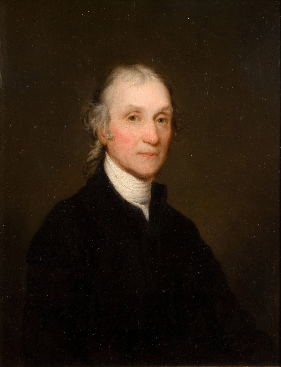 Portret dr Josepha Priestly