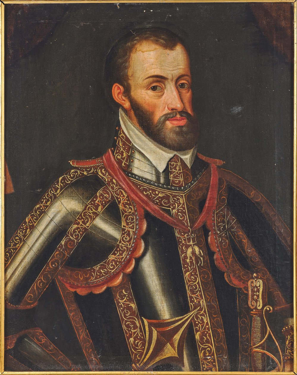 Portret Ferdynanda II 1529-1595, arcyksięcia Austrii. autorstwa Unbekannt