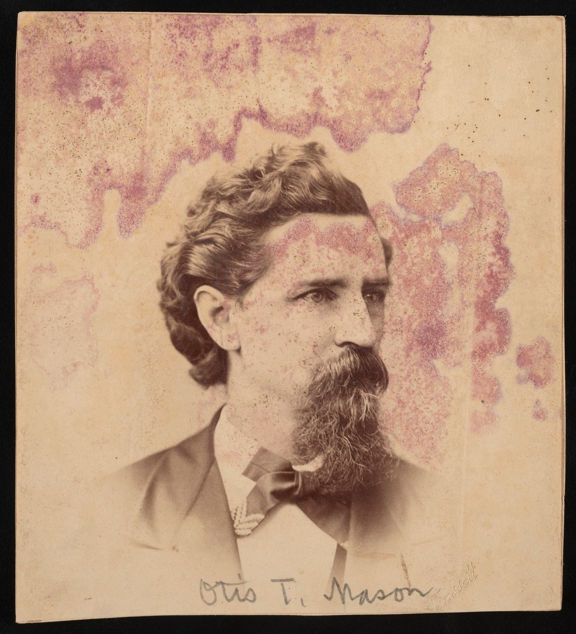 Portret Otisa Tuftona Masona 1838-1908, przed 1900. autorstwa Unbekannt