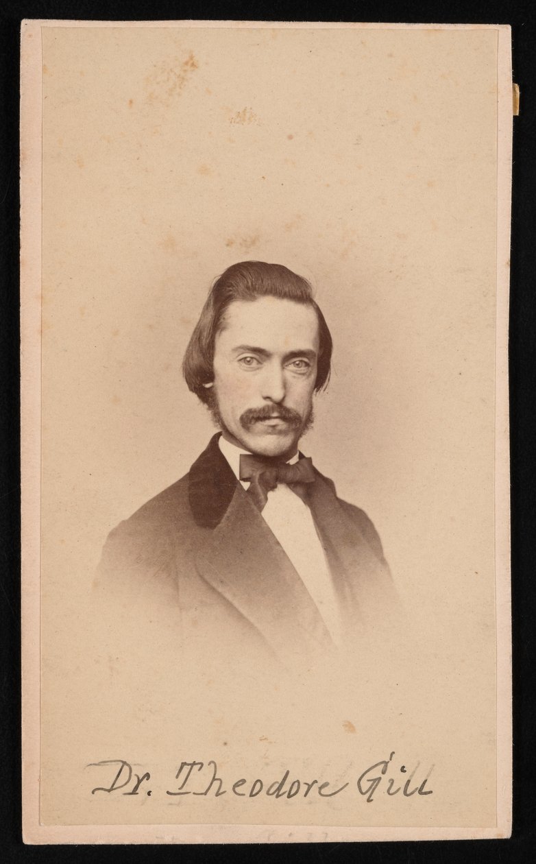 Portret Teodora Nicholasa Gilla 1837-1914, około lat 60. XIX wieku. autorstwa Unbekannt