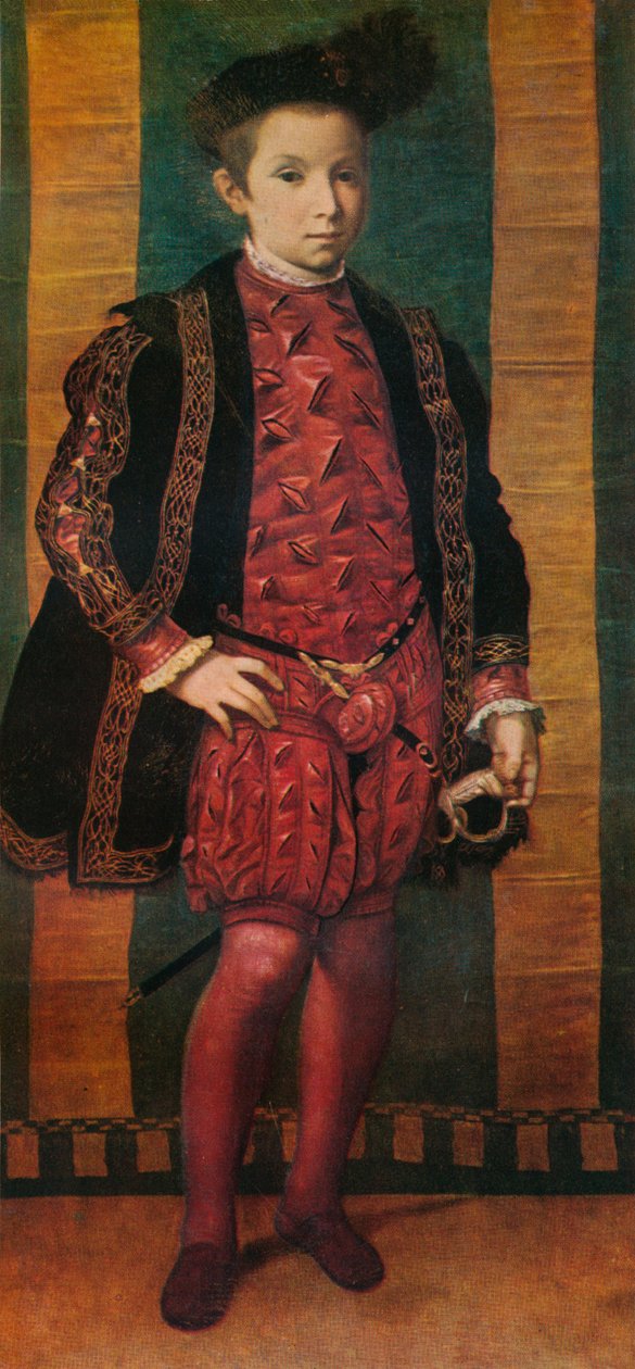 Portret chłopca, c1545, 1911 autorstwa Unbekannt