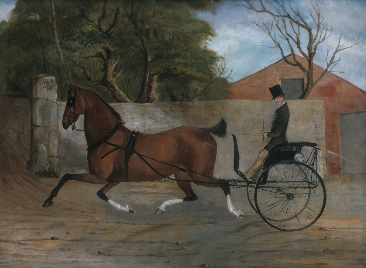 Portret dżentelmena w powozie, ca. 1850-60. autorstwa Unbekannt