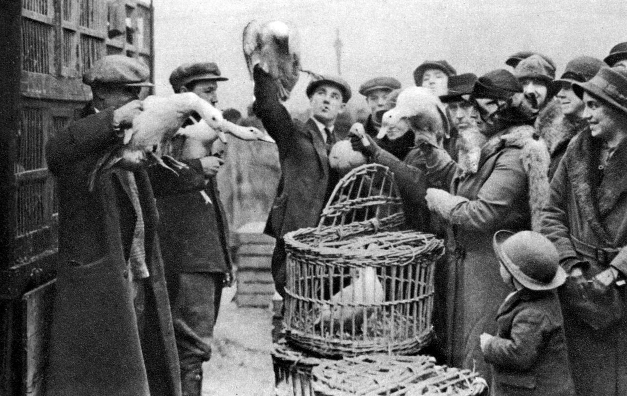 Kupcy drobiu, Caledonian Market, Londyn, 1926-1927 autorstwa Unbekannt