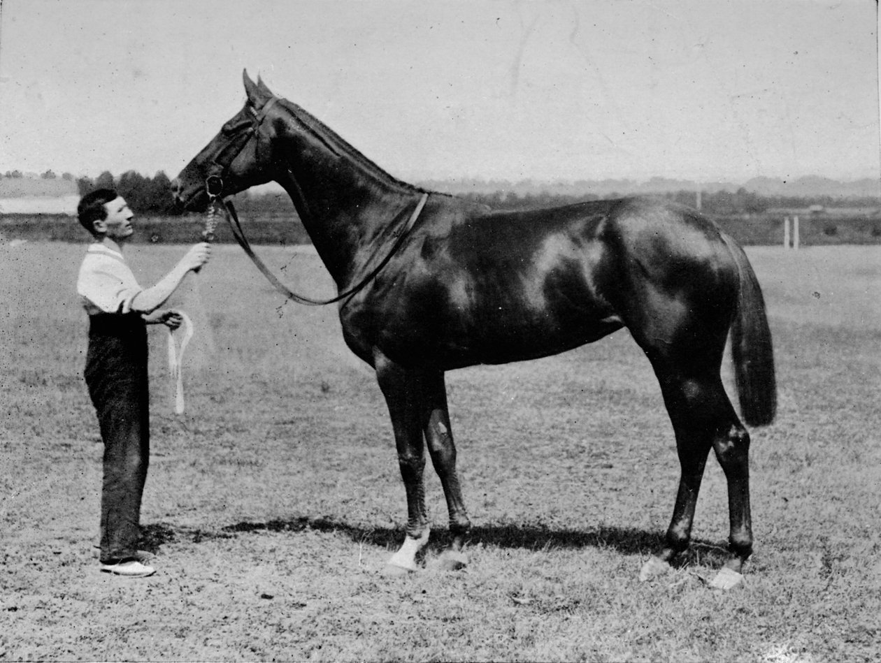 Ładna Polly, 1901-1931, 1911 autorstwa Unbekannt