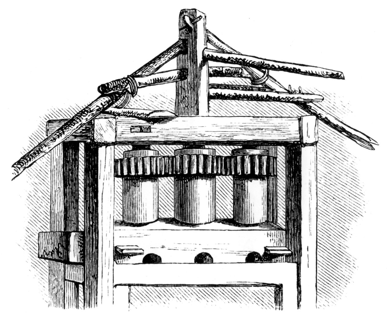 Pierwotna cukrownia, Santo Domingo, 1873 autorstwa Unbekannt