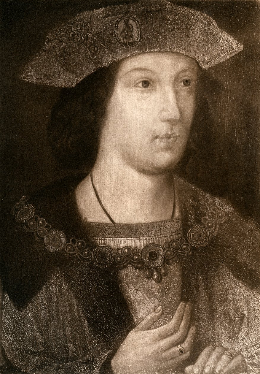 Książę Artur, najstarszy syn Henryka VII, c1502, 1902 autorstwa Unbekannt