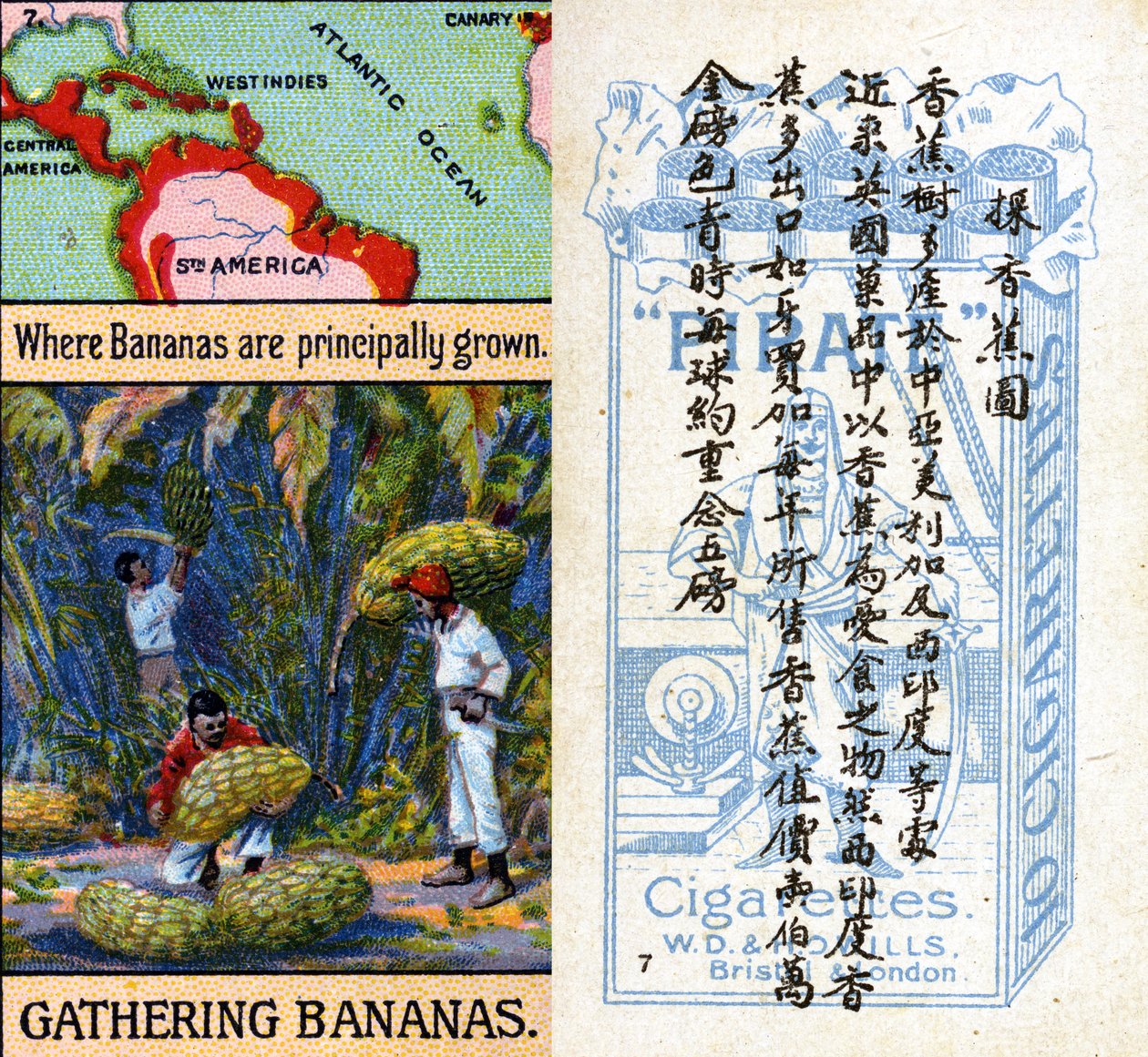 Główne obszary uprawy bananów z serii kart papierosowych „Products of the World” produkowanych przez Wills „Pirate” Papierosy na rynek w Chinach autorstwa Unbekannt