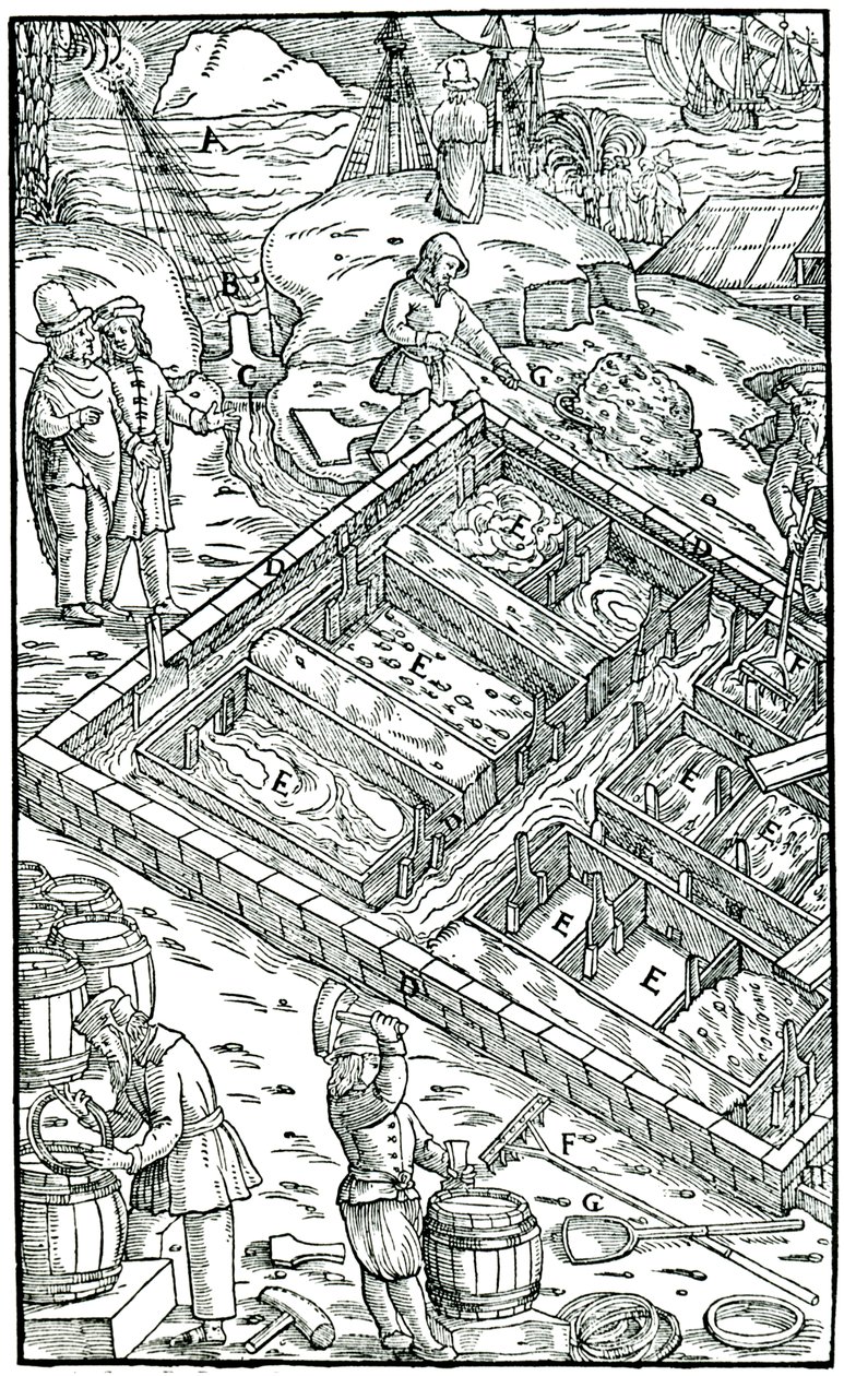 Produkcja soli przez odparowanie wody morskiej w panwiach solnych, 1556 autorstwa Unbekannt