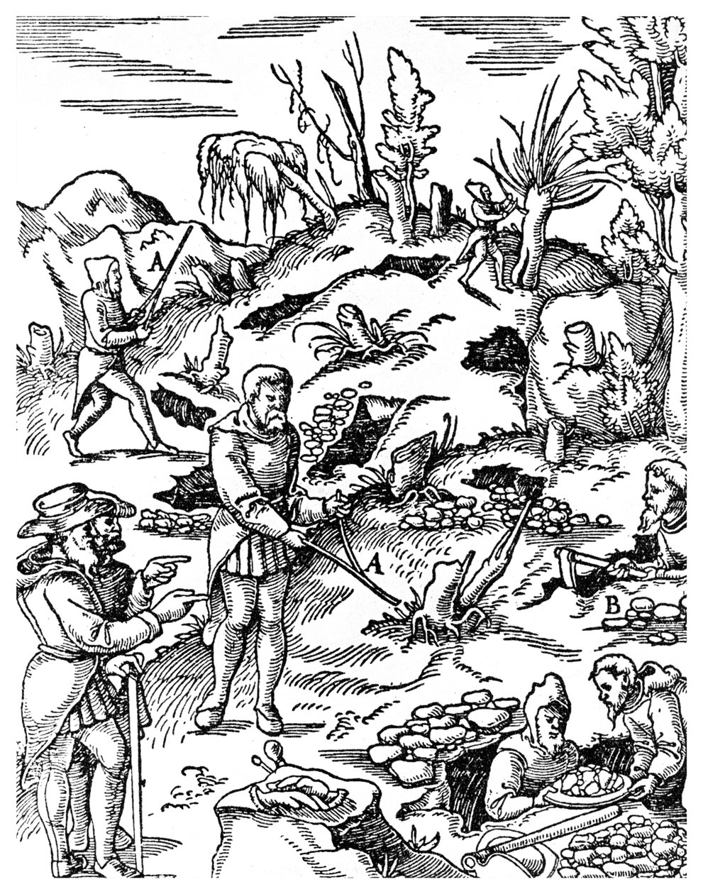 Poszukiwanie metali, 1556 1956 autorstwa Unbekannt