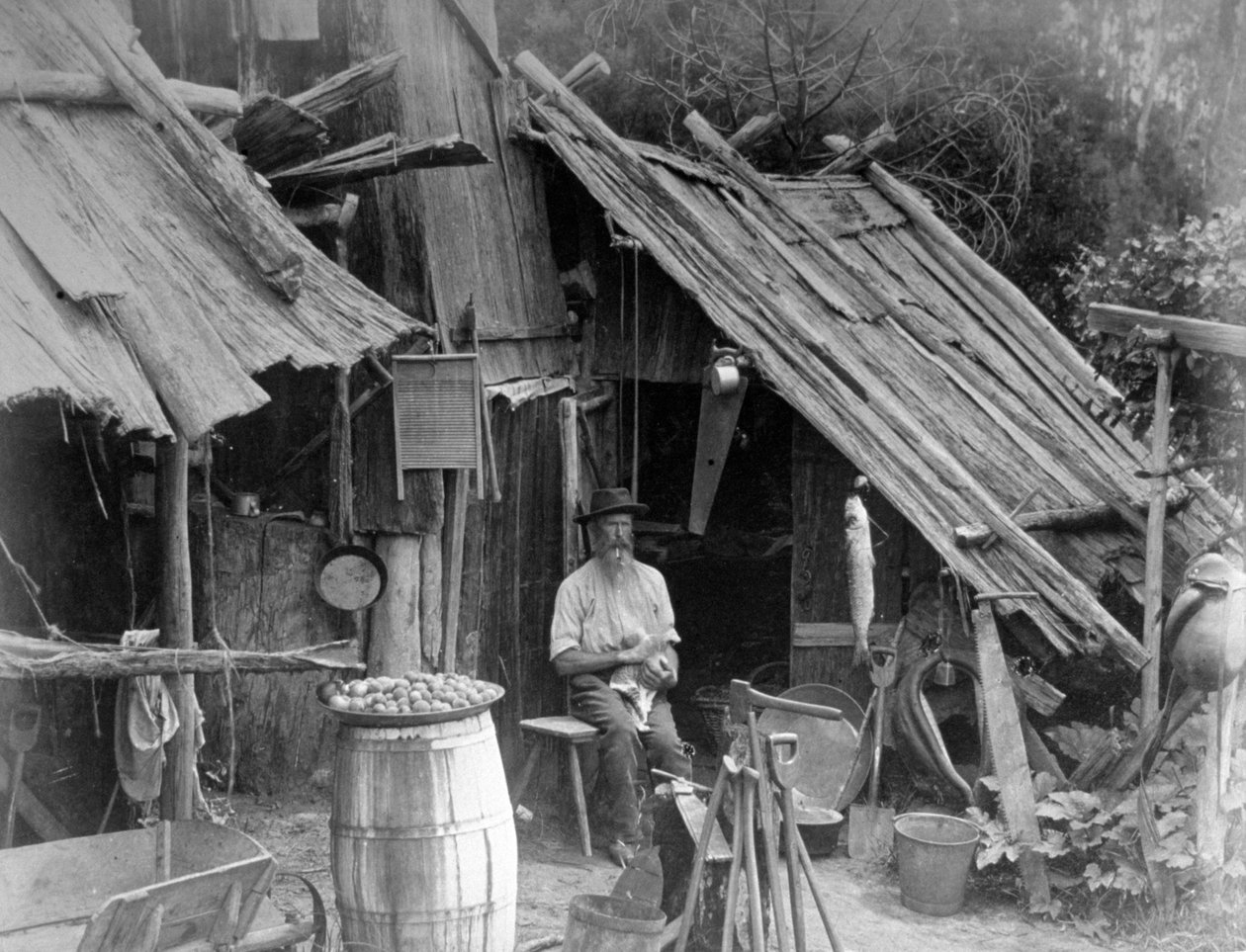 Prospector, Gippsland, Victoria, Australia, 1886 r. autorstwa Unbekannt