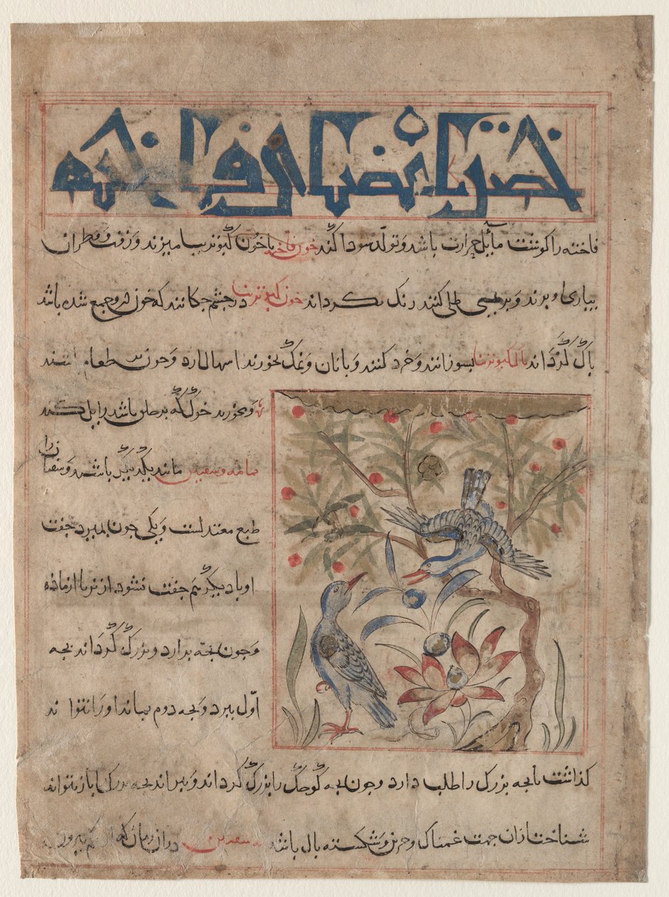 Cechy Ringdoves recto, O dobrodziejstwach przepiórek verso..., c. 1300. autorstwa Unbekannt