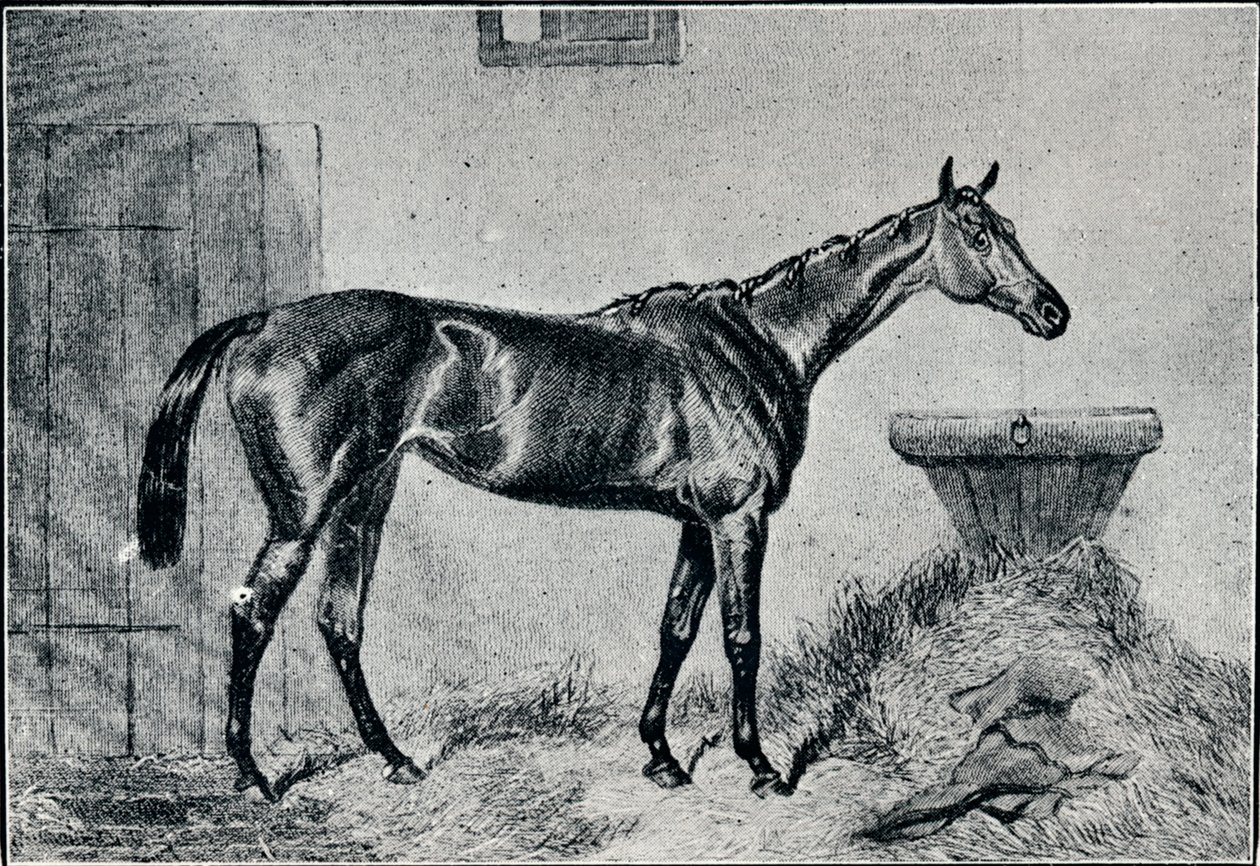 Królowa Berta, XIX wiek, 1911 autorstwa Unbekannt