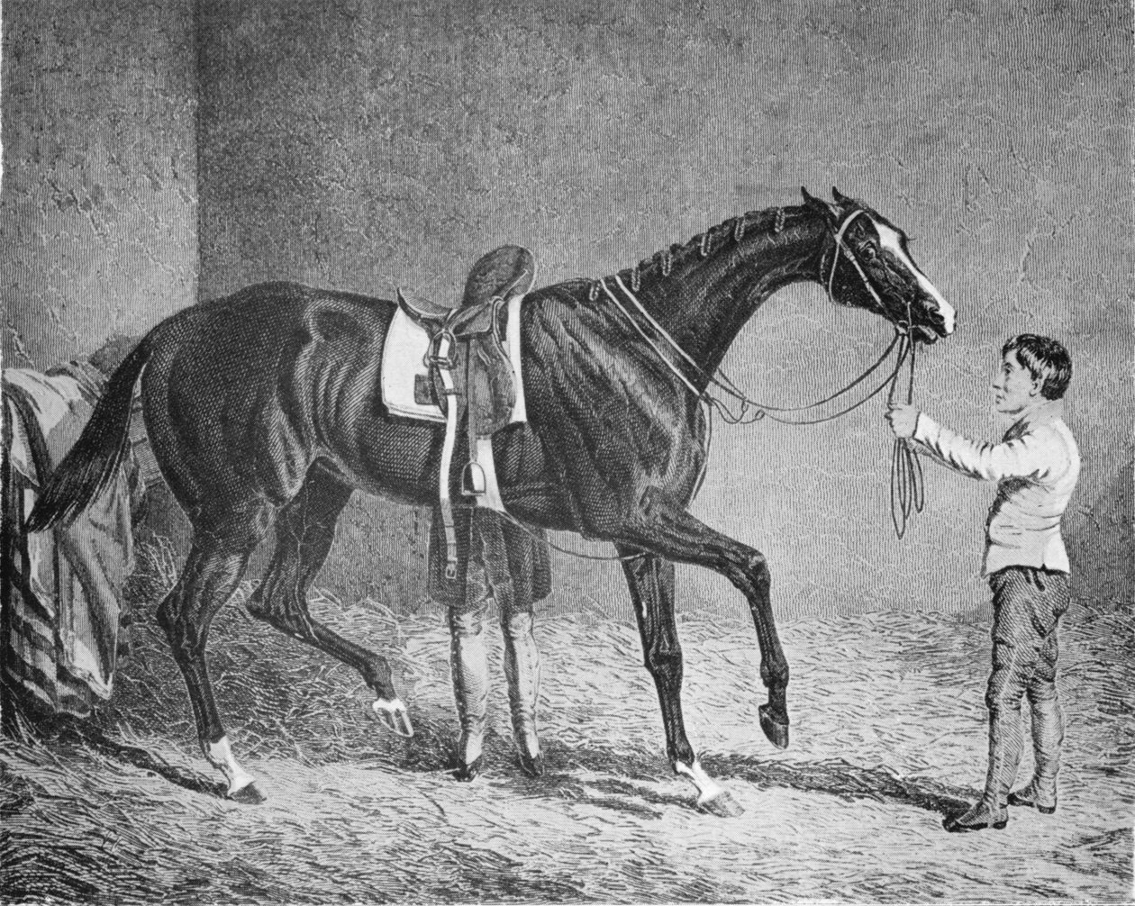 Królowa Trumpów, 1832-1843, 1911 autorstwa Unbekannt