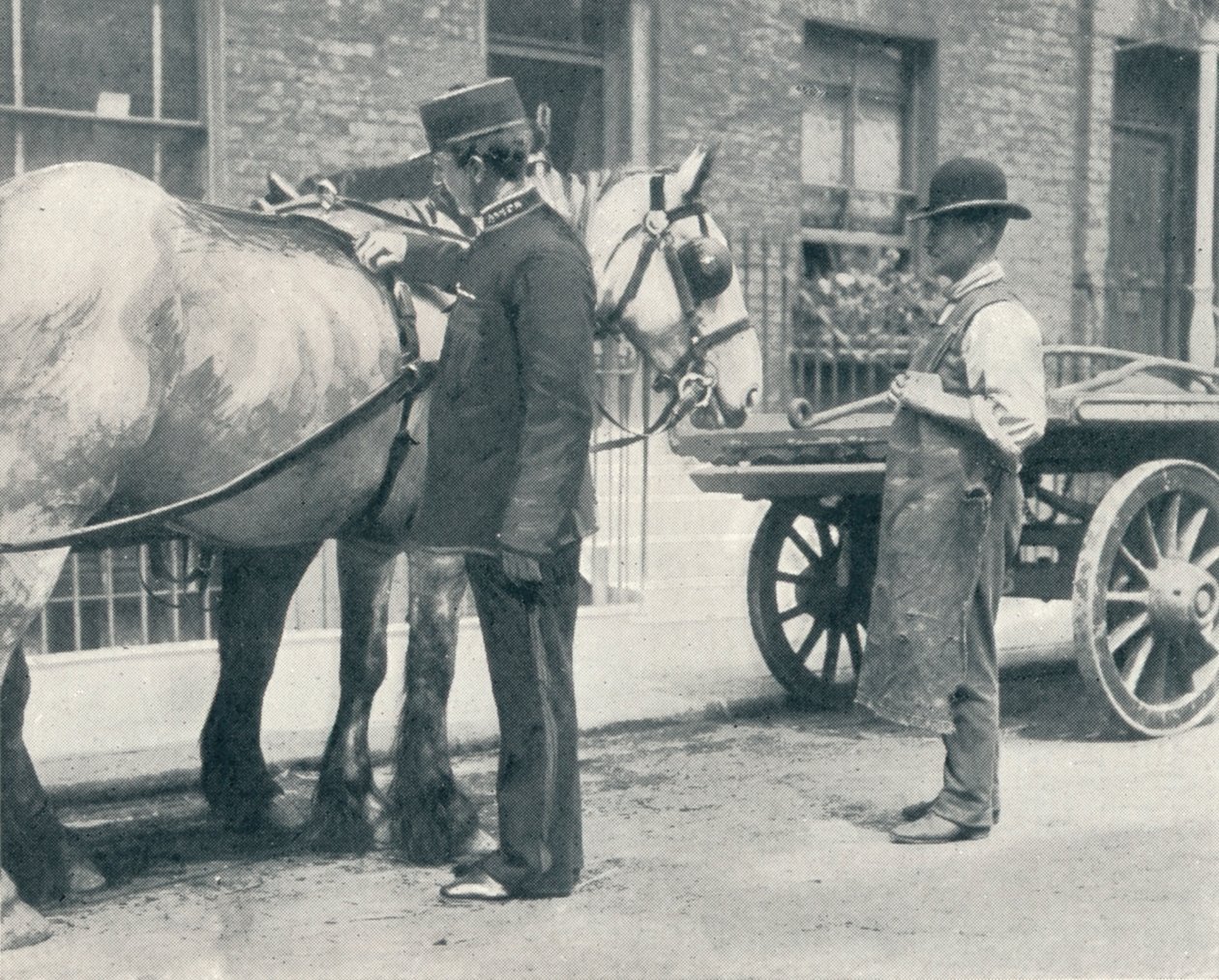 Inspektor RSPCA badający konia, c1903 1903 autorstwa Unbekannt