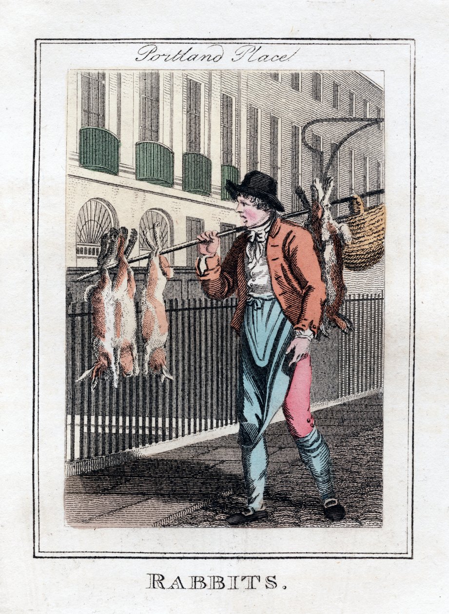 Króliki, Portland Place, Londyn, 1805 autorstwa Unbekannt