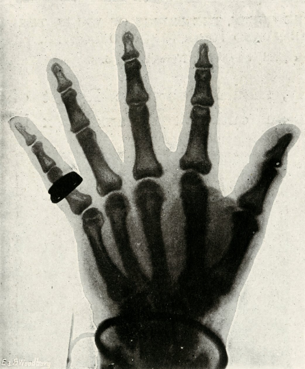 Radiogram ręki H.R.H. Książę Walii, c1897 autorstwa Unbekannt