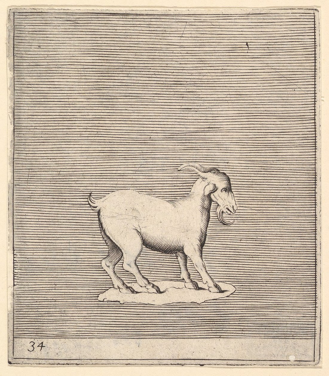 Ram, opublikowany ok. 1599-1622. autorstwa Unbekannt