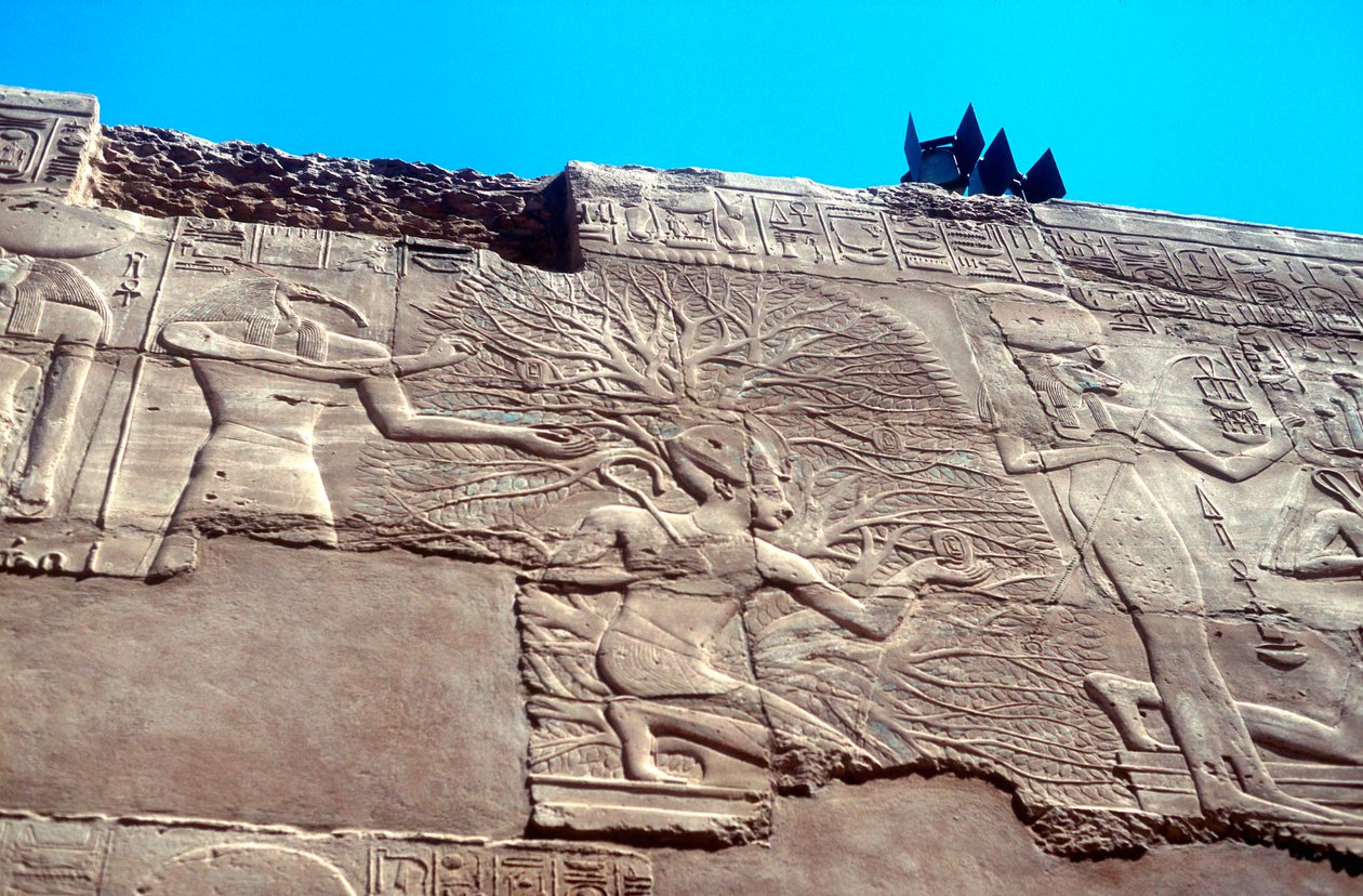 Ramzes II i Drzewo Życia, Karnak, Egipt, XIII wiek pne autorstwa Unbekannt