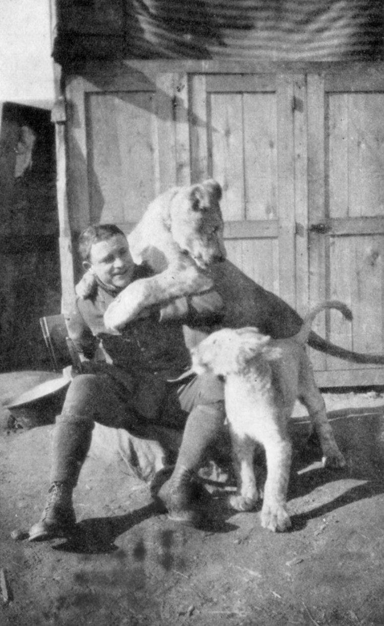 Raoul Lufbery, francusko-amerykański pilot myśliwski i as latający z I wojny światowej, 1917 autorstwa Unbekannt