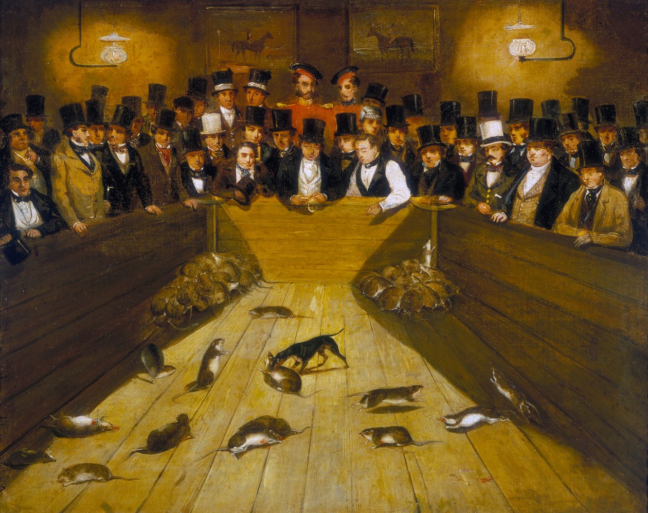 „Łapanie szczurów w tawernie Blue Anchor, Bunhill Row, Finsbury”, c1850 autorstwa Unbekannt