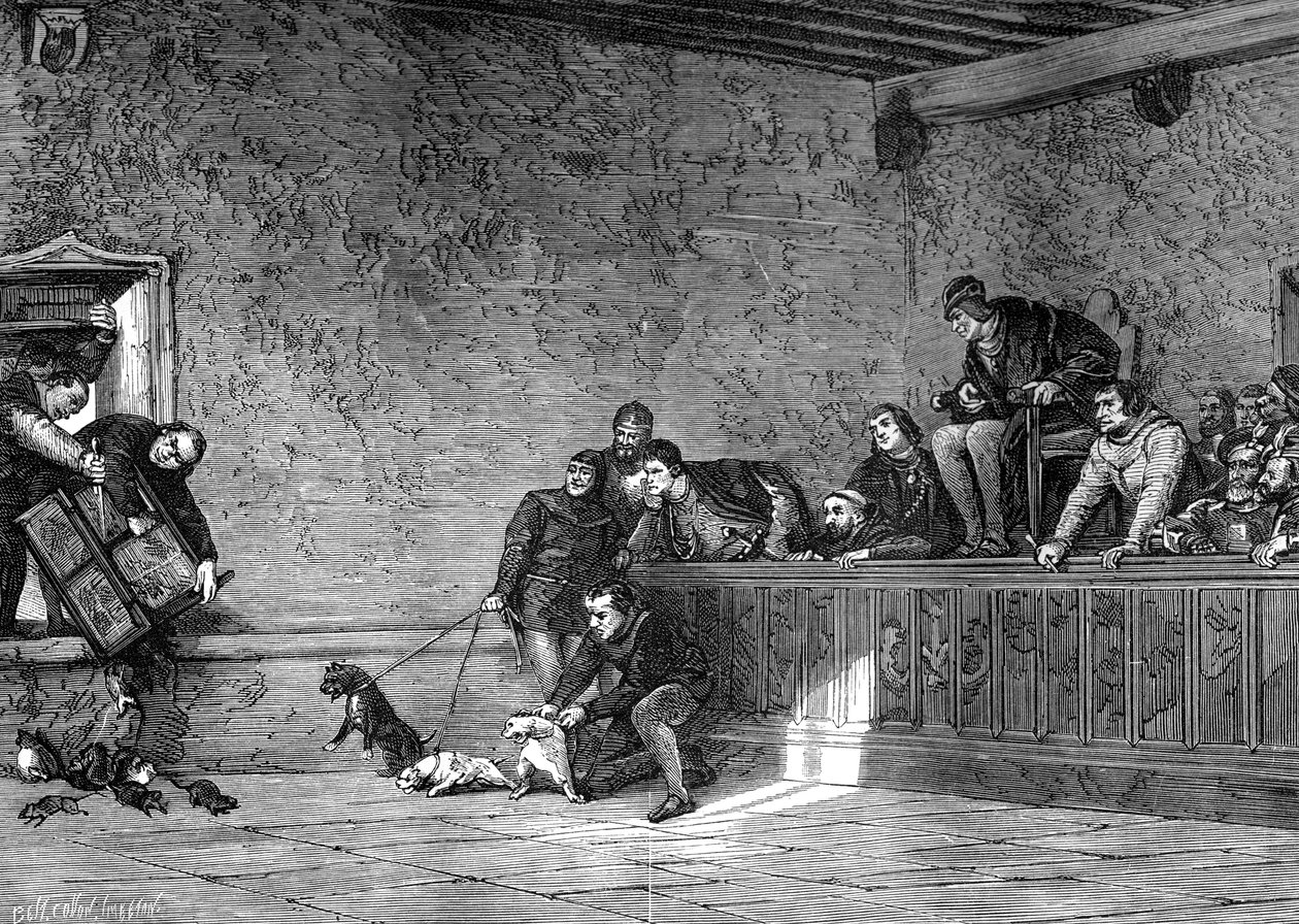 Walka szczurów, odtworzenie Ludwika XI we Francji, 1461-1483 1882-1884 autorstwa Unbekannt