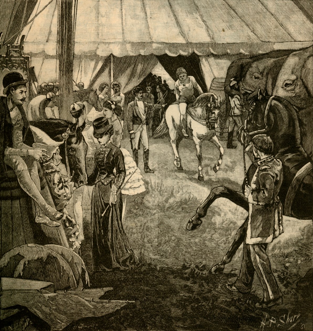 Gotowy do wezwania na ring, 1882. autorstwa Unbekannt
