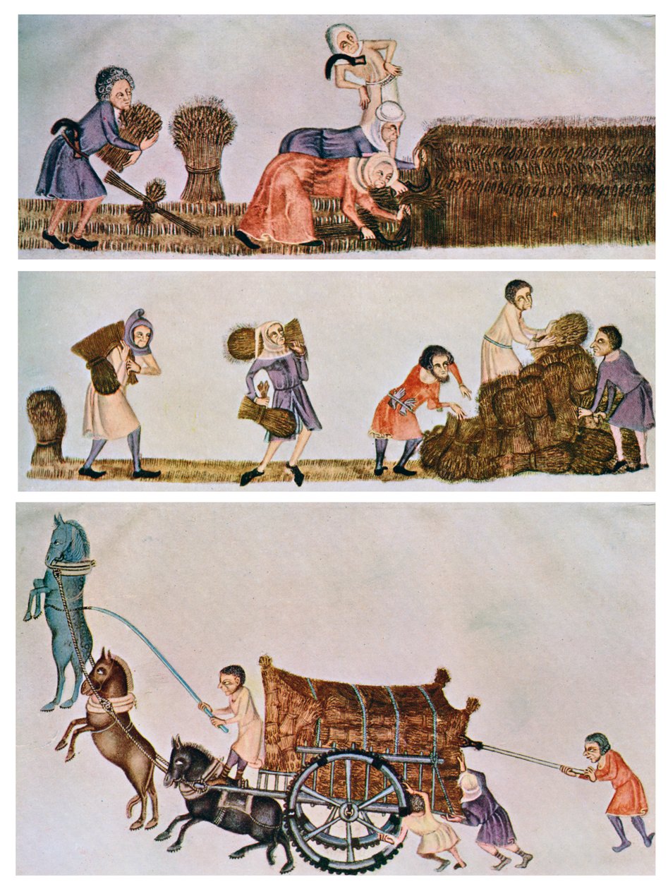 Żniwa, noszenie i wóz, c1300-1340, c1900-1920 autorstwa Unbekannt