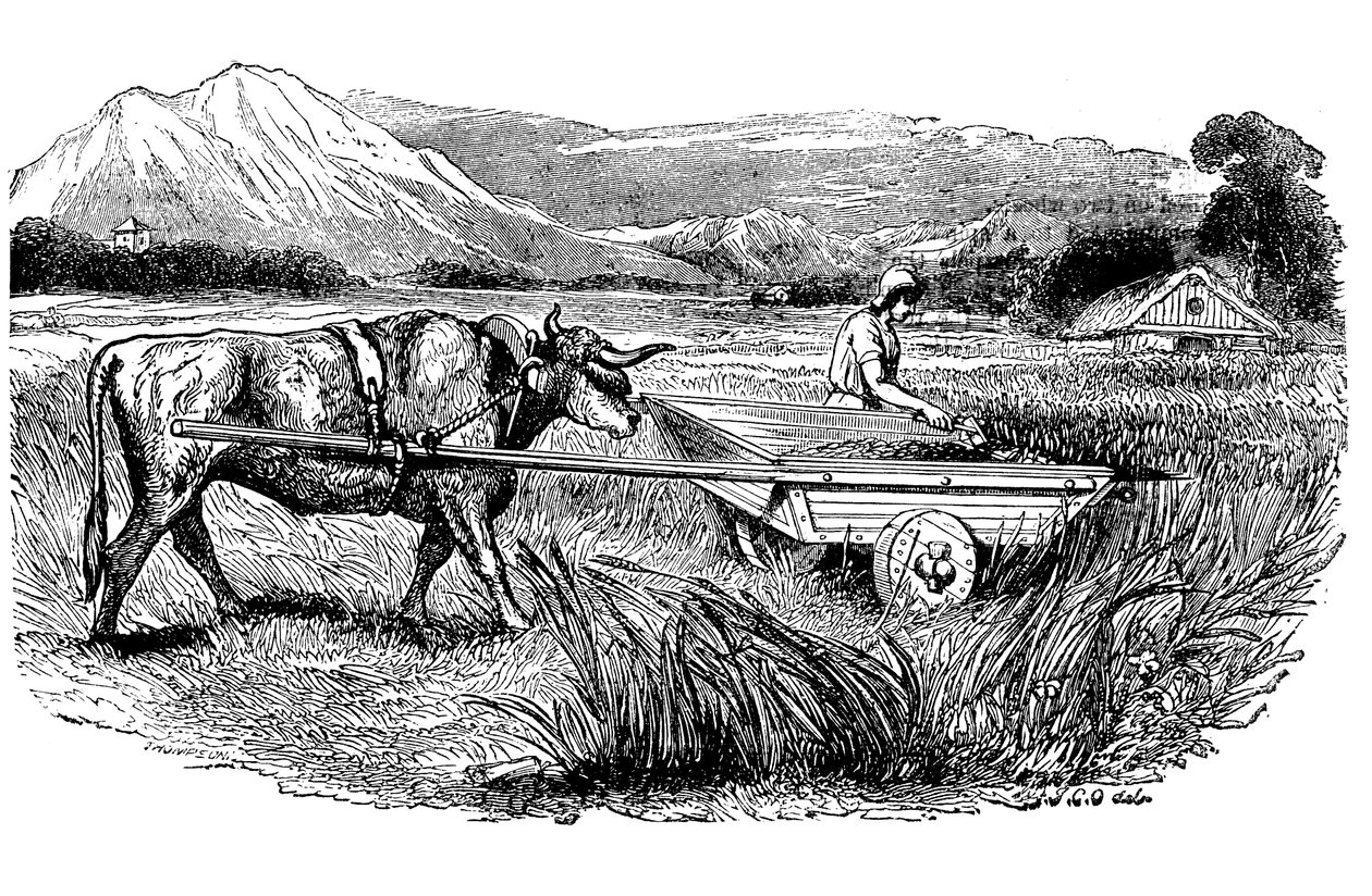 Rekonstrukcja rzymskiego wozu żniwnego, opisana przez Pliniusza, Rycina, 1860 autorstwa Unbekannt