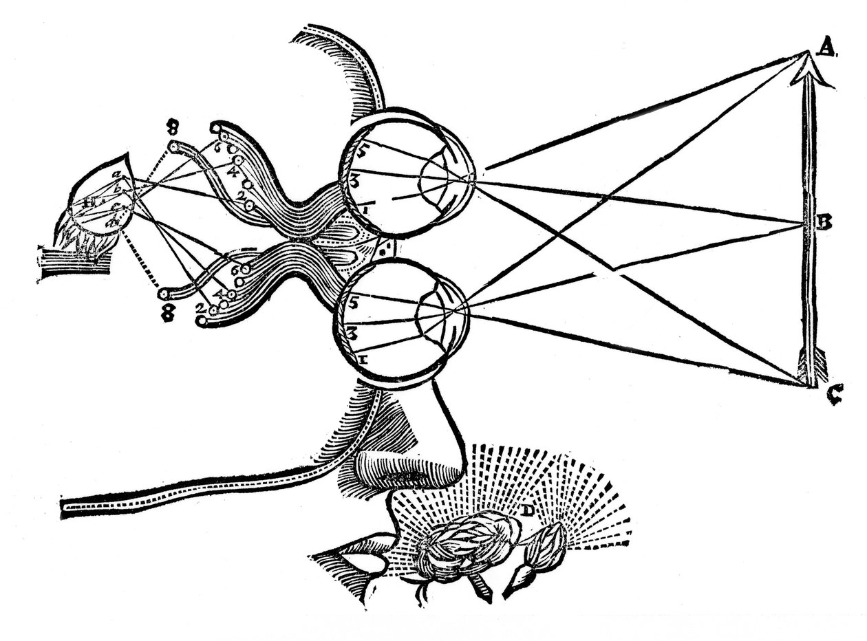 Rene Descartes ilustracja koordynacji zmysłów, 1692 autorstwa Unbekannt