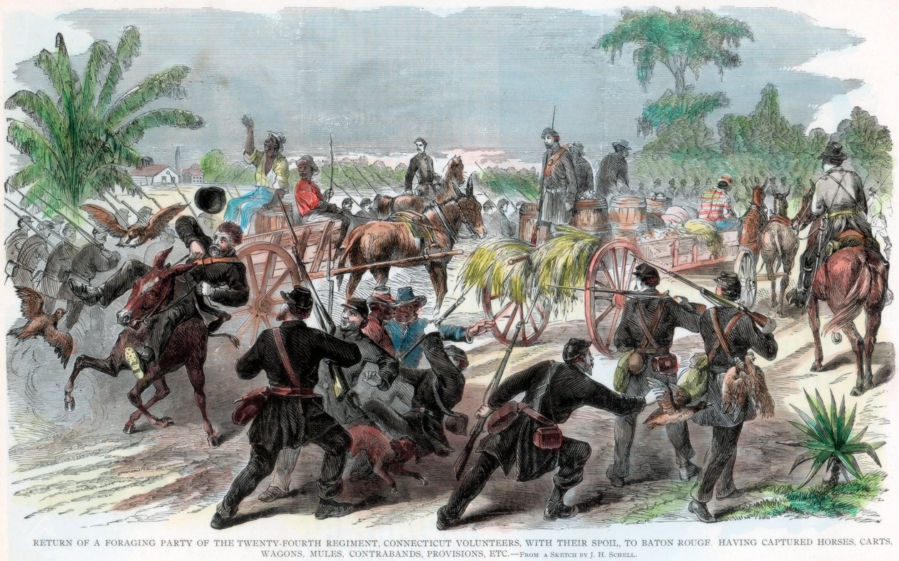 Powrót grupy zbieraczy do Baton Rouge, Luizjana, wojna secesyjna, ok. 1862 r. autorstwa Unbekannt