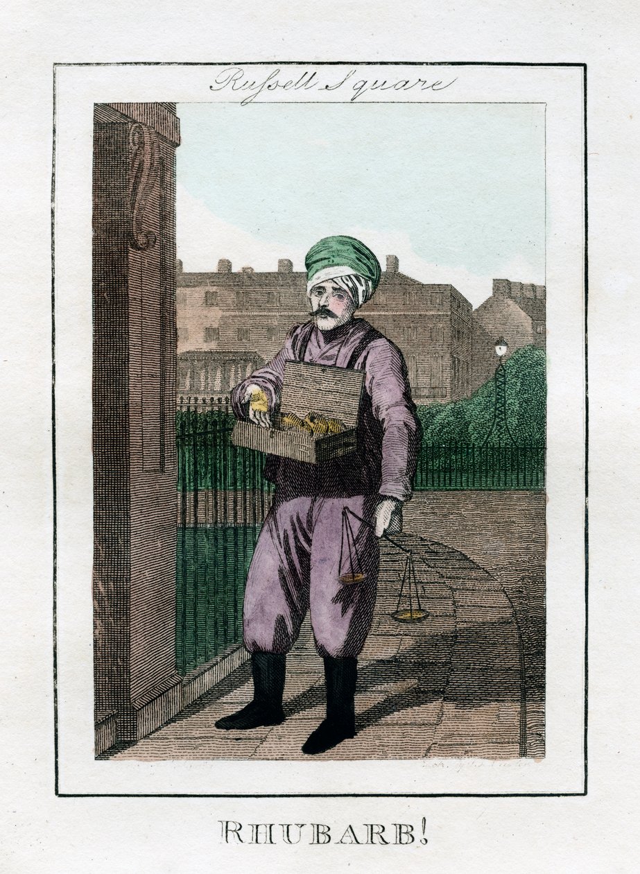 Rabarbar, Russell Square, Londyn, 1805 autorstwa Unbekannt