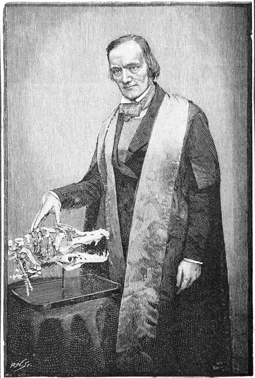 Richard Owen, brytyjski przyrodnik, ok. 1856 1891 r autorstwa Unbekannt