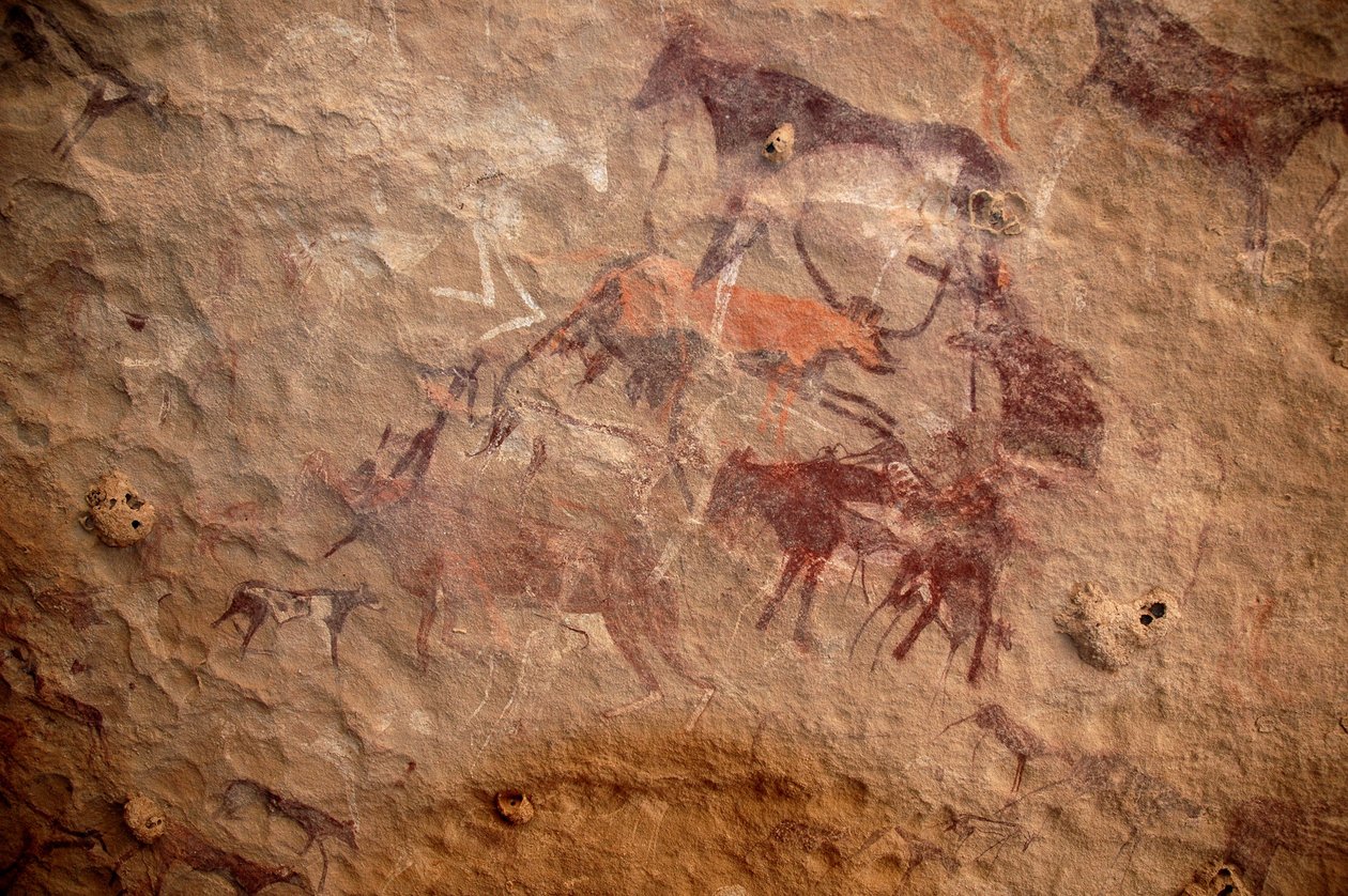 Sztuka naskalna, prehistoria: Malowidło naskalne przedstawiające grupę bydła i polichromowane postacie (pasterze i łucznicy) w ozdobnym schronie w masywie Uweinat w Sudanie. Okres od 8000 do 3000 lat pne. Fotografia autorstwa Unbekannt