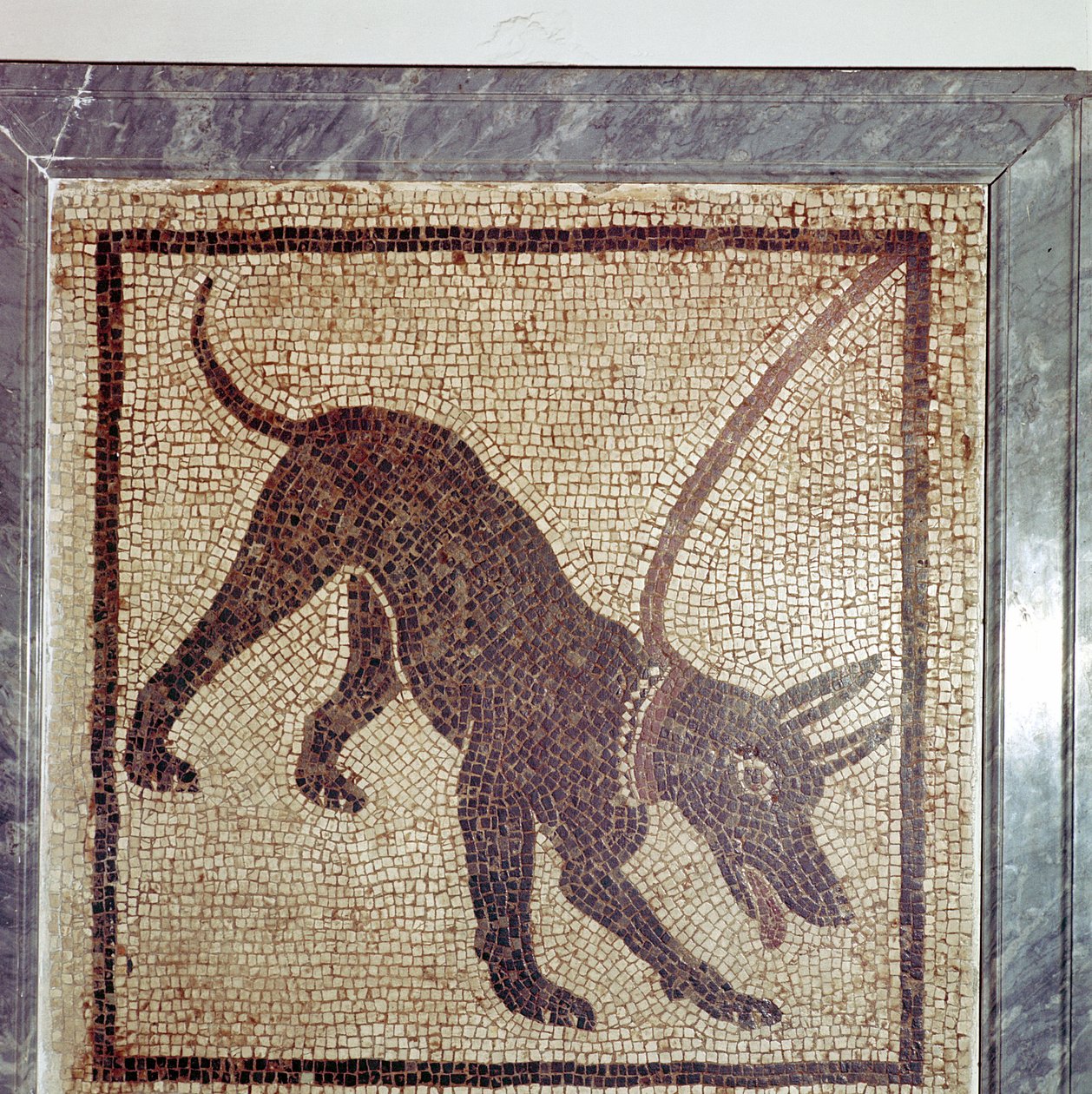 Rzymska mozaika psa, Cave Canem, Pompeje, Włochy autorstwa Unbekannt
