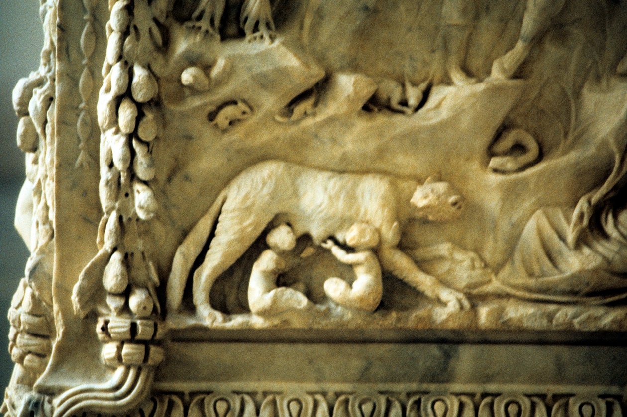Romulus i Remus ssące wilczycę autorstwa Unbekannt