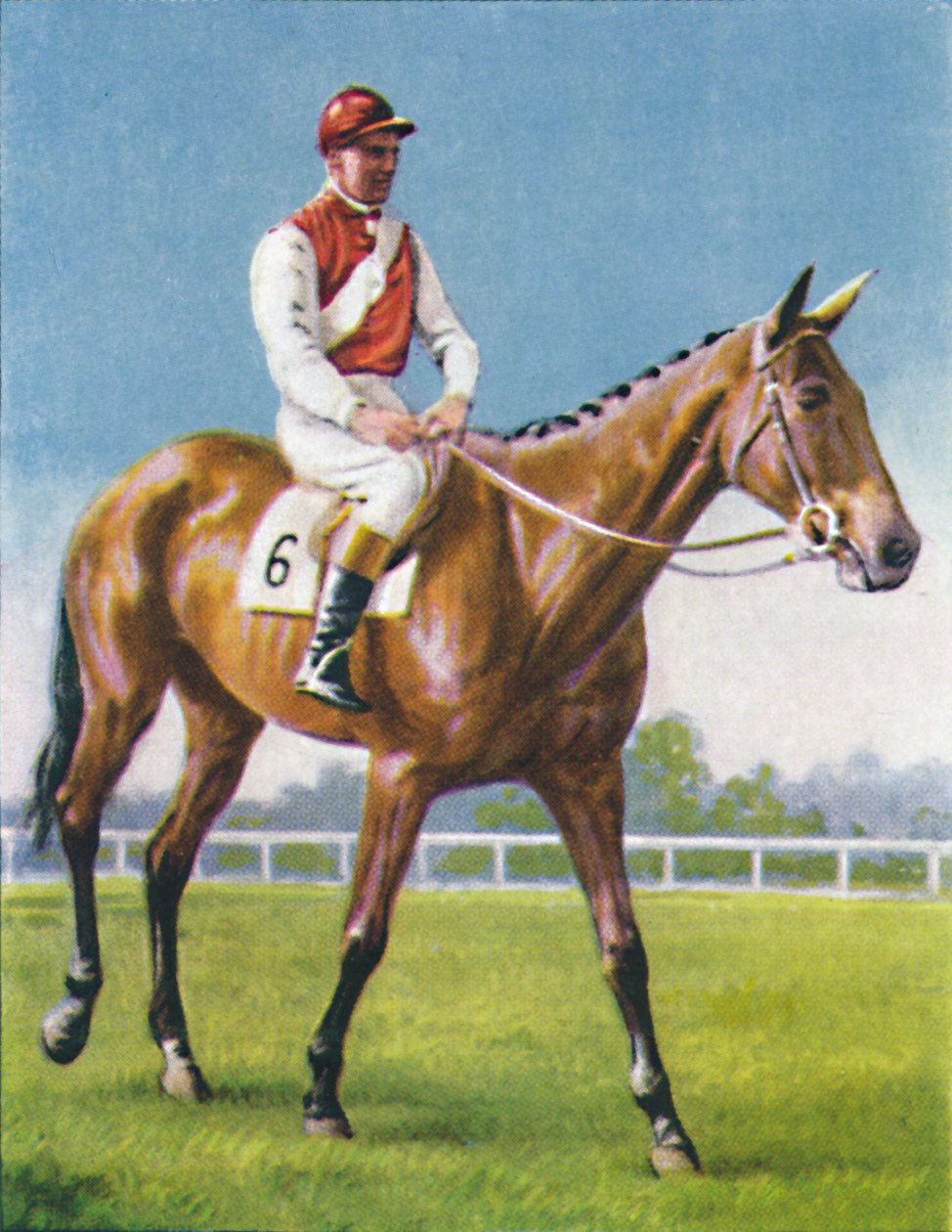 Royal Danieli, Dżokej: D. Moore, 1939 autorstwa Unbekannt