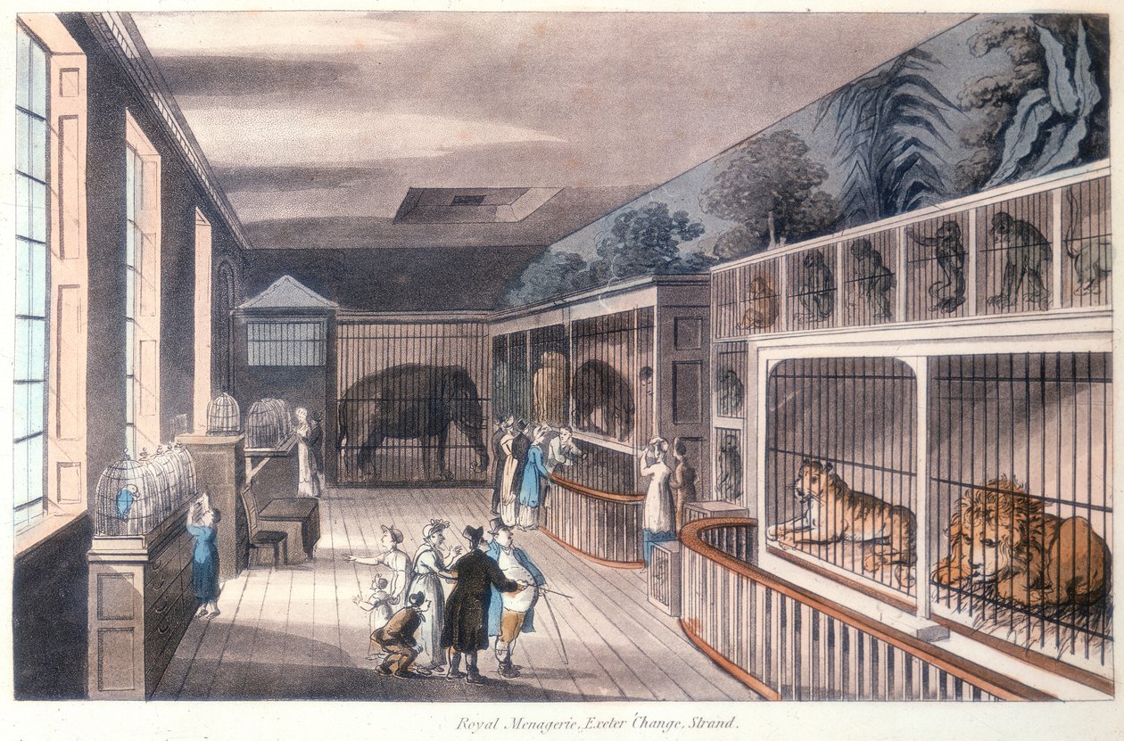 Królewska menażeria, Exeter Change, Strand, Londyn, c1820 autorstwa Unbekannt