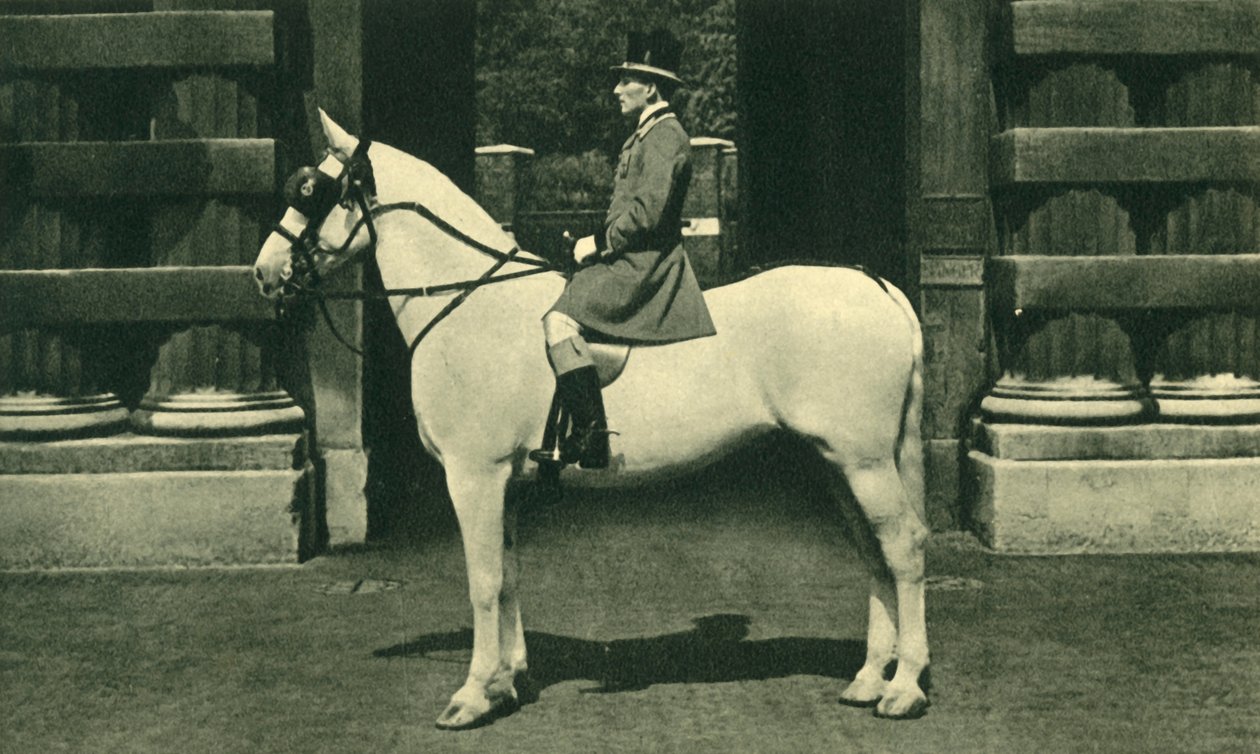 Royal Outrider w szkarłatnej liberii, lata 50. XX wieku. autorstwa Unbekannt