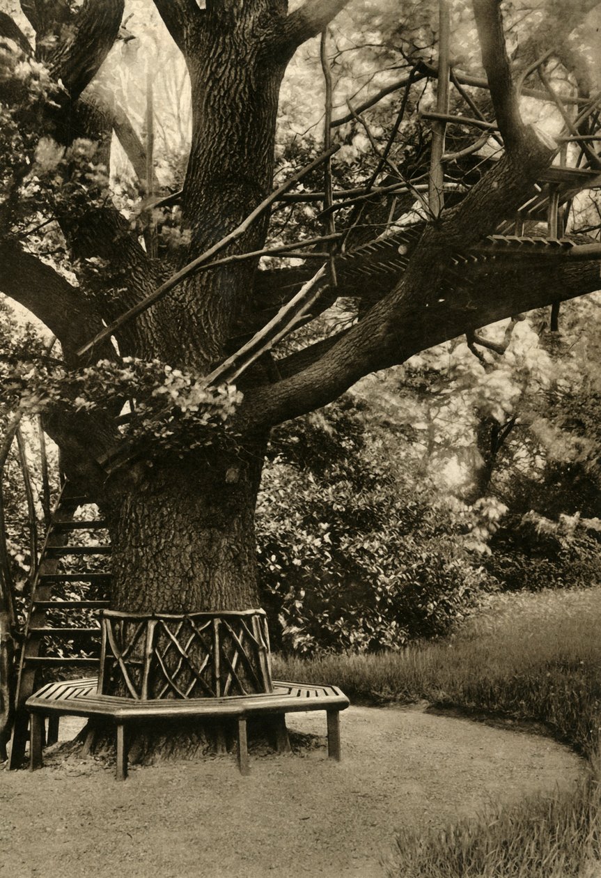 Leczenie rustykalne. - Letni domek na drzewie, idealna herbaciarnia, 1920 r. autorstwa Unbekannt