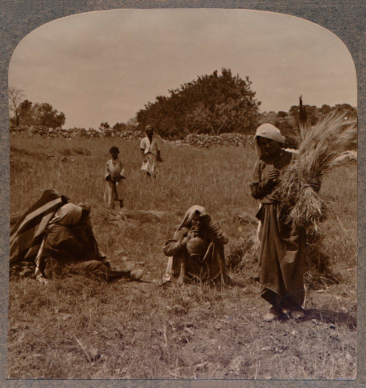 Rut zbierająca kłosy na polach Boaza, ok. 1900 autorstwa Unbekannt