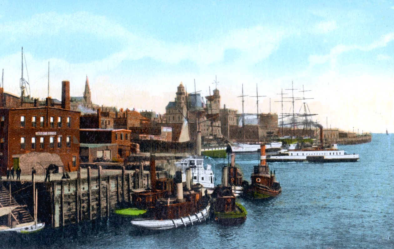 Port Saint John, Saint John, New Brunswick, Kanada, c1900 autorstwa Unbekannt