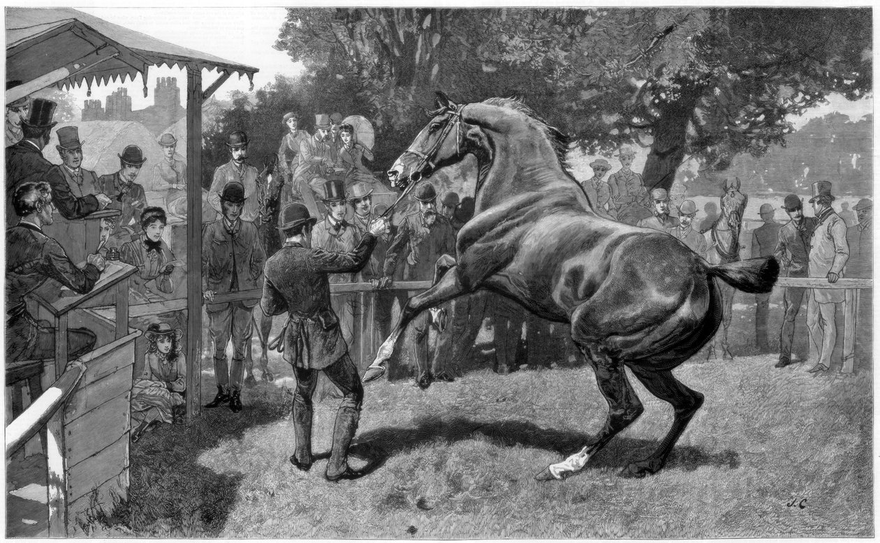 Wyprzedaż Podwyższenie i sprzeciw myśliwych, 1885 autorstwa Unbekannt