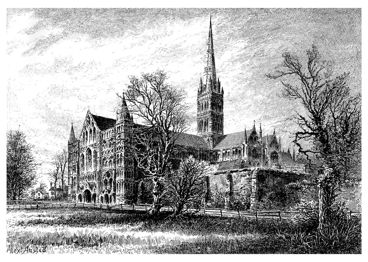 Katedra w Salisbury, z południowego zachodu, 1895 autorstwa Unbekannt