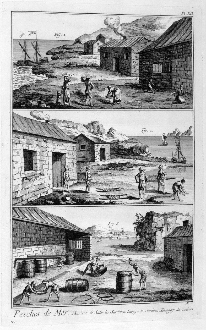 Solenie, mycie, pakowanie sardynek, 1751-1777 autorstwa Unbekannt