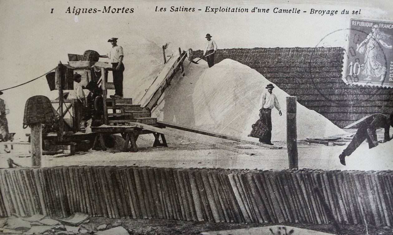 Warzelnie soli, Camargue, Aigues-Mortes, Prowansja, Francja (zdjęcie czarno-białe) autorstwa Unbekannt