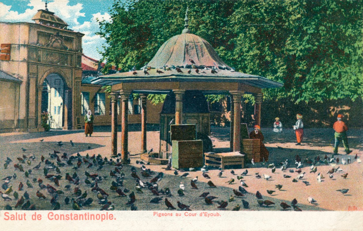Salut de Constantinople - Gołębie na dworze Eyoub, ok. 1900 autorstwa Unbekannt