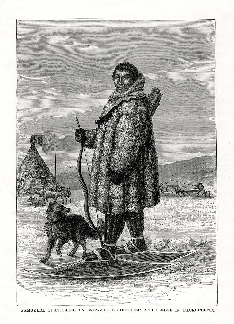 Samoyede podróżujący na rakietach śnieżnych, Rosja, 1877 r. autorstwa Unbekannt