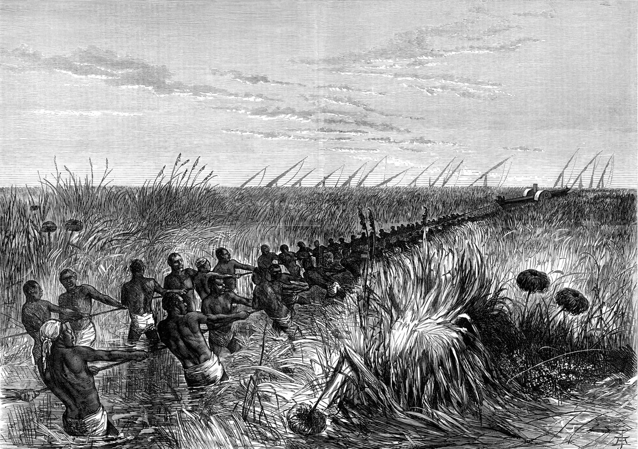 Łódź Samuel Bakers ciągnięta przez trawę rzeczną, 1864 1874 autorstwa Unbekannt